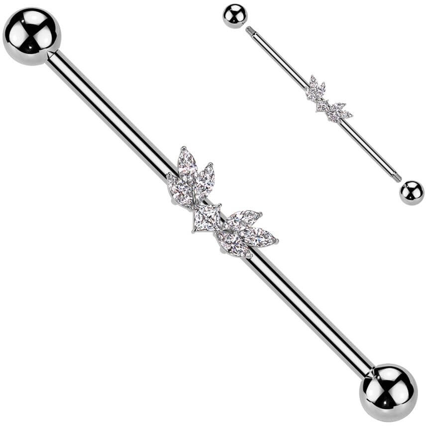 Industrial Barbell wings zirconias