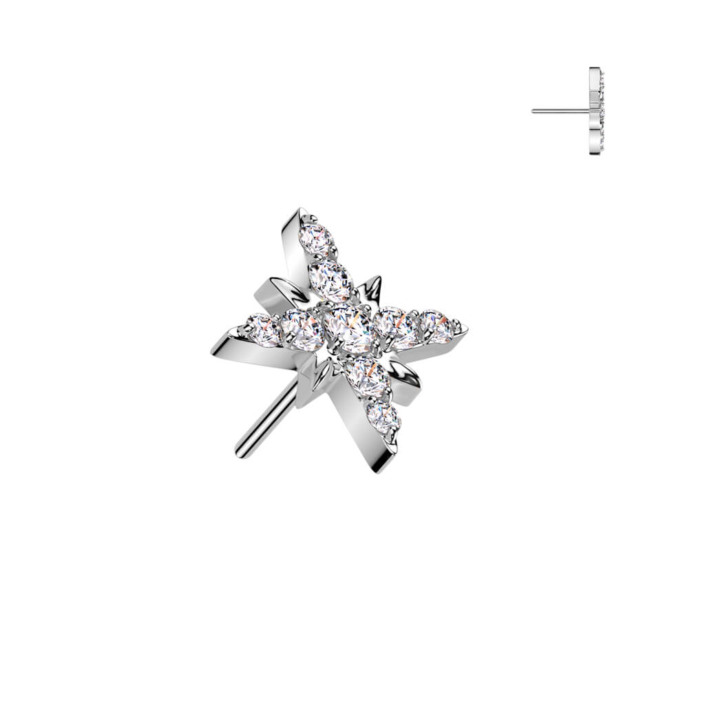 Titanium top starburst Push-In