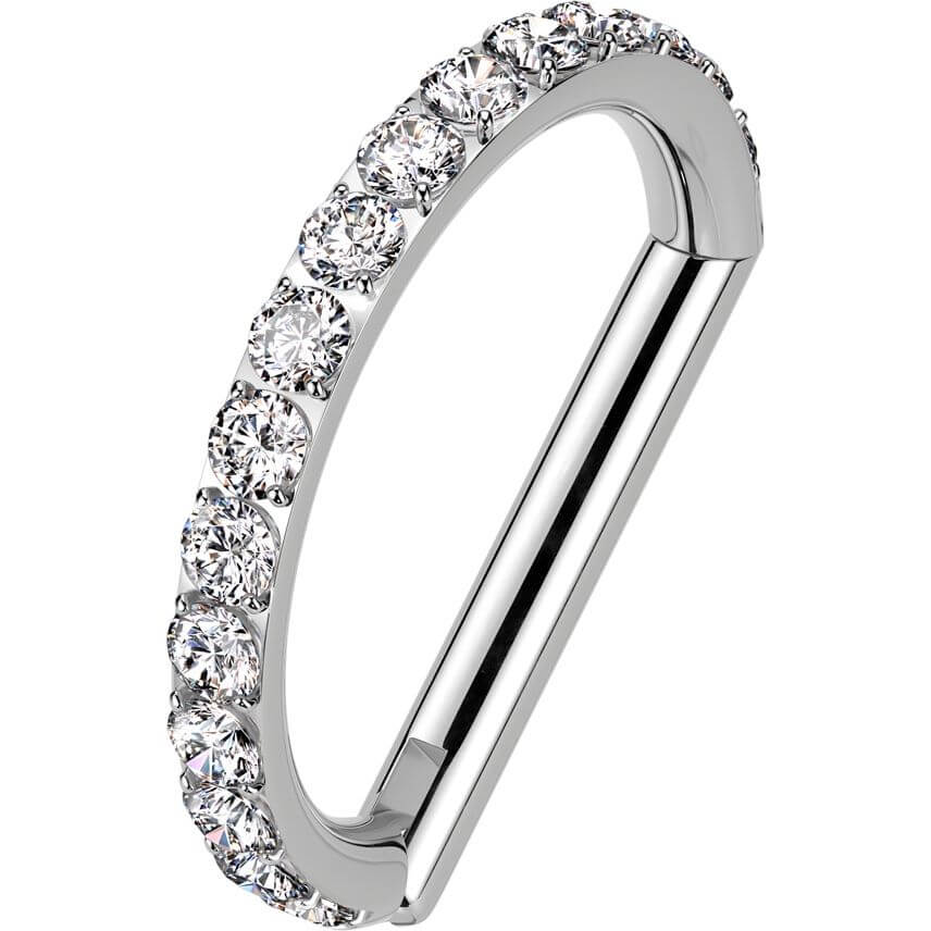 Titan Ring Zirkonia Segment