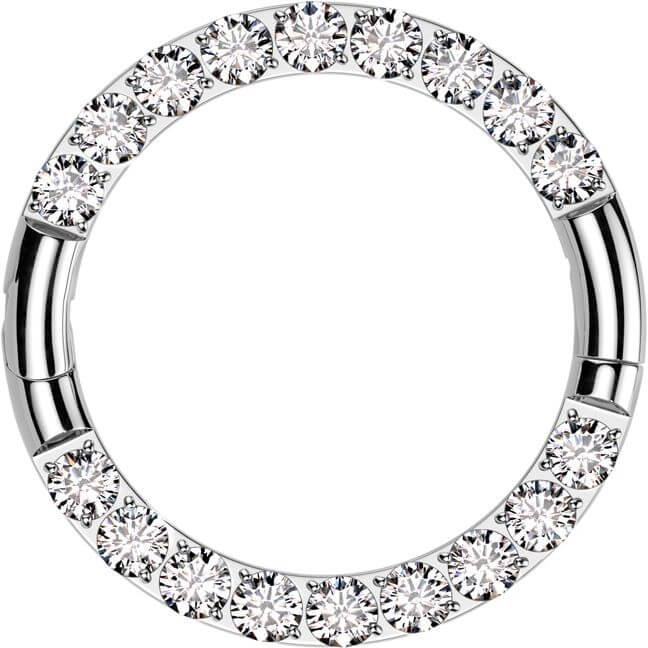 Titan Ring Zirkonia Segment