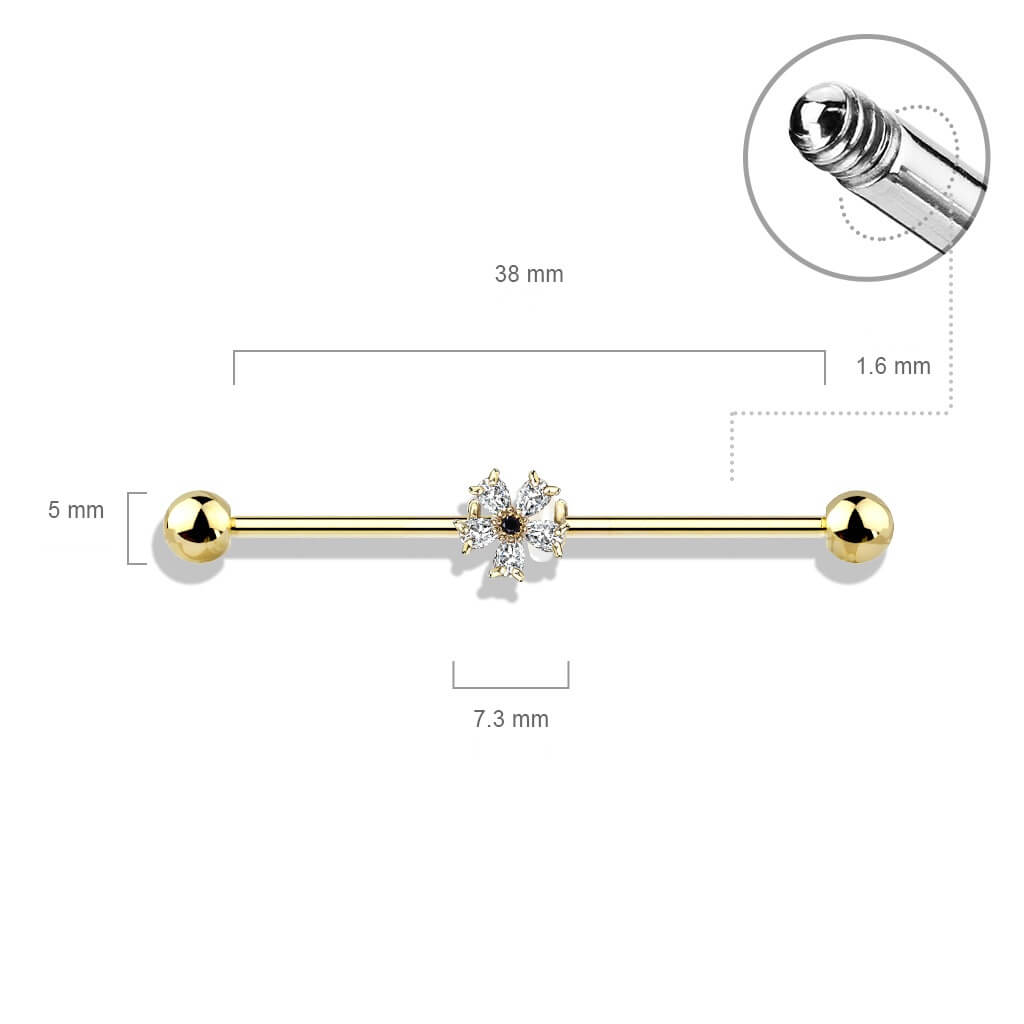 Industrial Barbell Blume Zirkonia