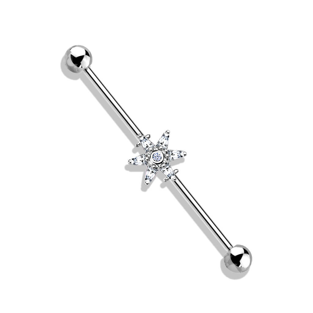 Industrial Barbell Blume Zirkonia