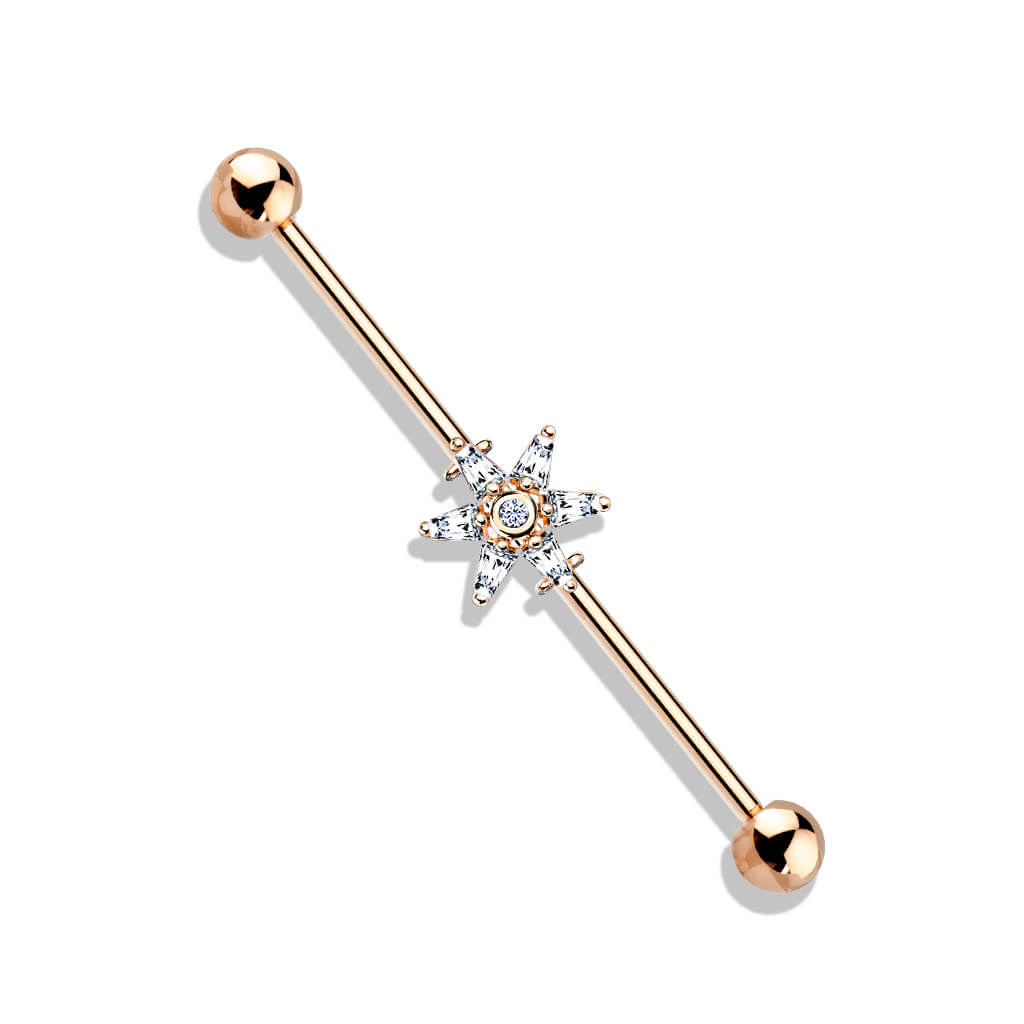 Industrial Barbell Blume Zirkonia