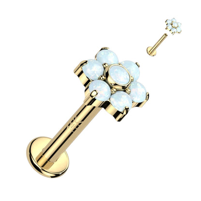 Oro 14kt Ópalo Circonita flor Rosca interna Labret