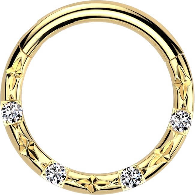 Titan Ring 4 Zirkonia Facettenschliffe Segment 