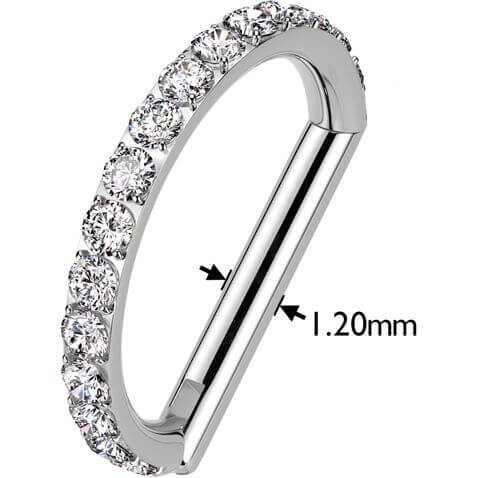 Titanio Anello Piercing  Zirconi Segment