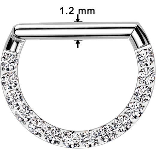 Titanio Anello Piercing  Zirconi Segment