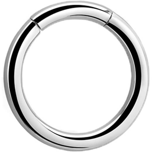 Ring Silber Segment 