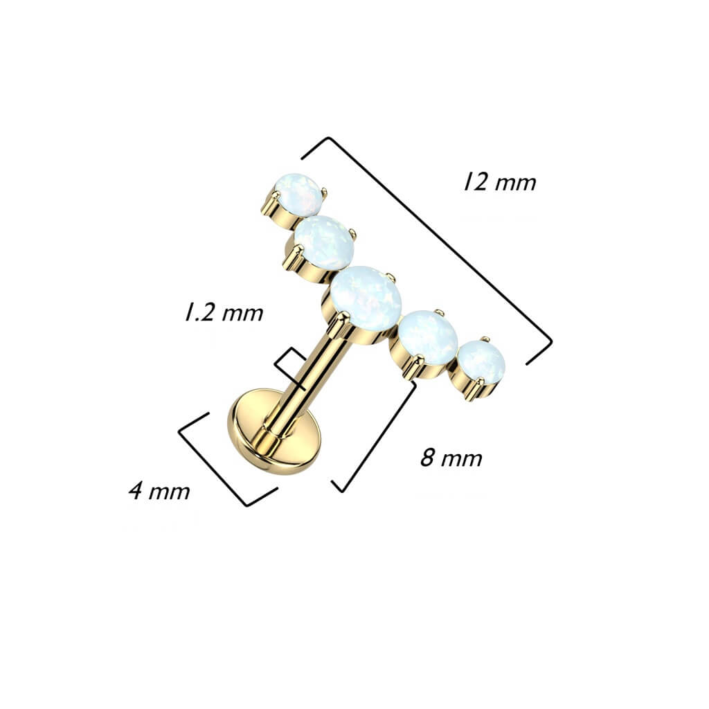 Titane Labret Demi-Cercle Zircone Filetage Interne