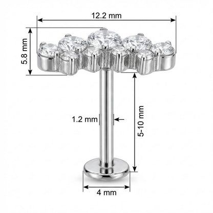 Titanium Labret Graduated Crystal Curve Cluster Internally Threaded